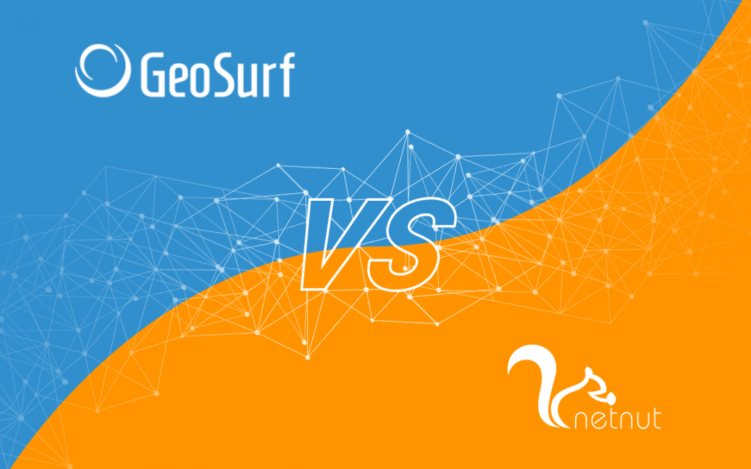 Geosurf vs. Netnut