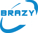 BrazyKicks review logo