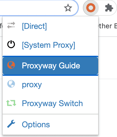 How to use switchyomega screenshot, Proxyway Guide highlighted